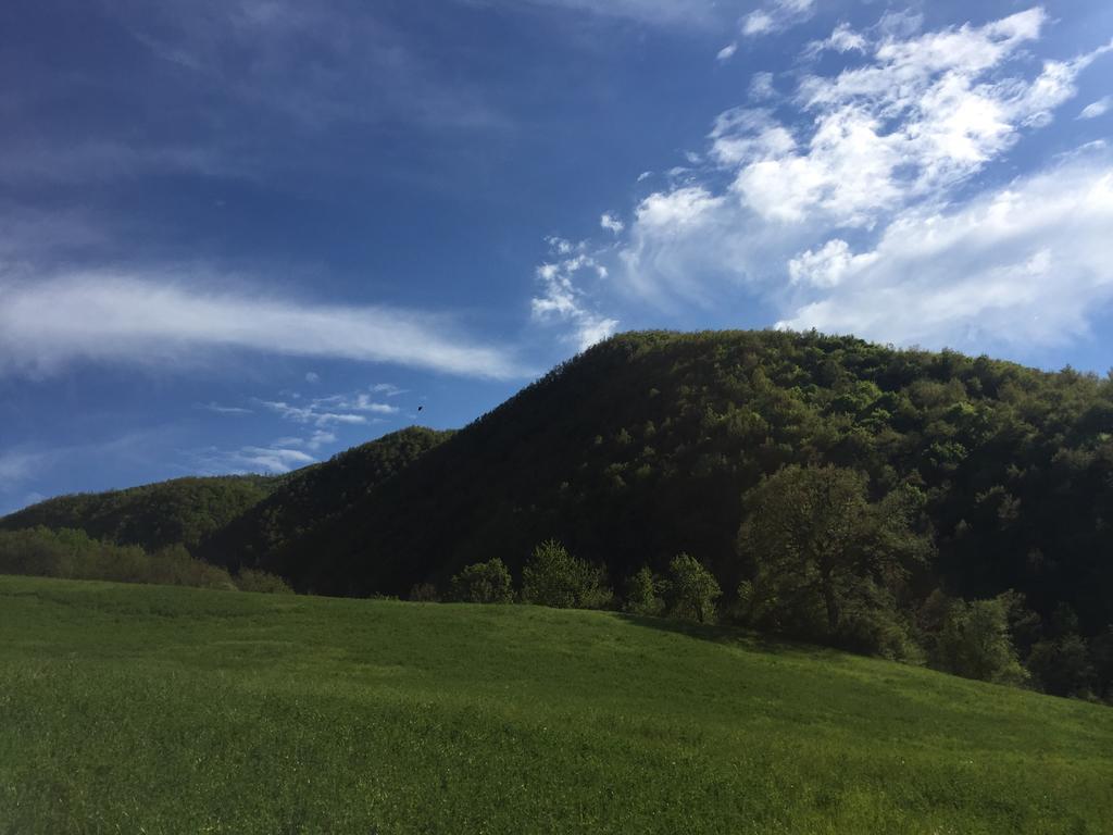 Agriturismo La Ferraia Pianello  المظهر الخارجي الصورة
