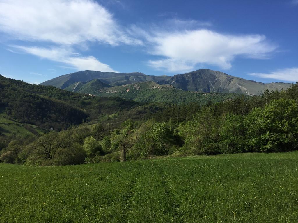 Agriturismo La Ferraia Pianello  المظهر الخارجي الصورة