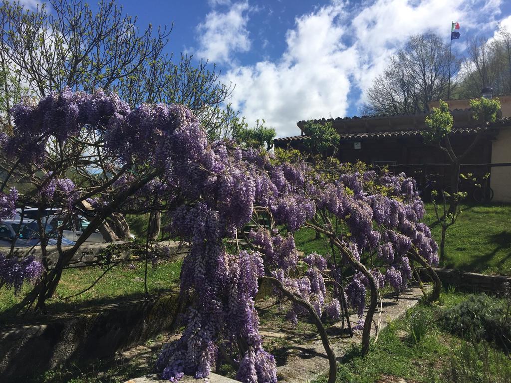 Agriturismo La Ferraia Pianello  المظهر الخارجي الصورة