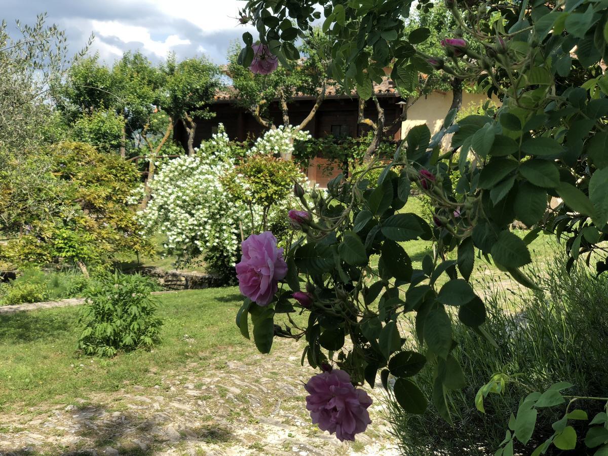 Agriturismo La Ferraia Pianello  المظهر الخارجي الصورة